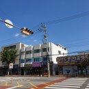 자이 자동차세상 이미지