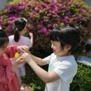 실내초병설유치원 이미지