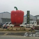 파프리카 조형물 이미지