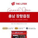 더리터충남