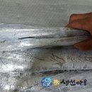 씨알좋은 대사이즈 생물파먹갈치 가격 좋습니다~~ (A급대파조기,30미병어,햇멸치) 이미지