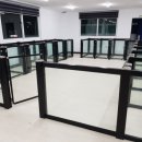 고양이미용실 이미지