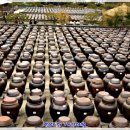 서일여행 이미지