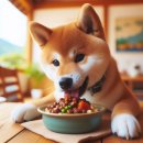 시바(SHIBA)
