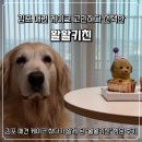 왈왈키친 이미지