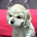 (주)마더스팜 네이버블로그
