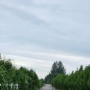 꼭지목장 이미지