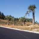 화원관광 이미지