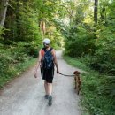 봄강아지 이미지