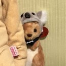 평화기공노동조합 | 당일퇴사 나보다 먼저 하지 마세요