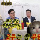 공다방 이미지