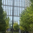 서울탕 | 광화문 직장인 점심 해장 [ 무교원 원대구탕 ] 종로 근처 해장, 종로 대구탕 맛집 가격, 맛 솔직후기