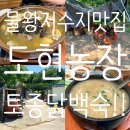 도현농장