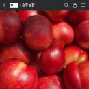 승주농장 네이버블로그