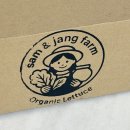 쌈앤장 | 쌈앤장팜 청상추 싱싱한 제철상추 네가지 레시피!