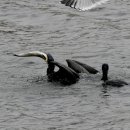 교동식탐 이미지