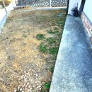 시골집공인중개사사무소 이미지