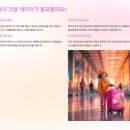 A29 | 유아 캐리어 가방 아이 전용 추천 가이드✈️