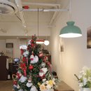 상남동241 이미지