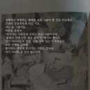 꼴  미 이미지