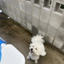 학산스테이 이미지