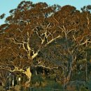 (주)금아여행사 이미지