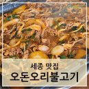 세종 오돈오리불고기 오리고기 맛집 방문 후기