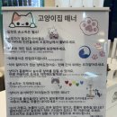 커뮤니캣 고양이 호텔&미용실 | [원주, 카페] 단구동 고양이카페 '오묘'