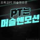 머슬앤모션 | 목동헬스장 오목교PT 머슬앤모션 헬스장 혼자 가도 되나요