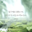 은평포레스트한방병원