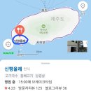 서귀포 대정읍밥집 신평올레 후기