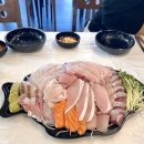 푸른상회 | 노량진 수산시장 방어회 맛집 [형제상회] 먹고 남영 [옛날수제비] 까지 내돈내산 솔직후기