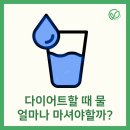 내수한의원 | 문정동다이어트한의원 물을 얼마나 먹어야할까