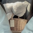 푸라닭노은점 이미지