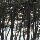폴라리스야영장 | 변산반도 고사포 야영장 부안 바닷가 캠핑장 폴라리스 첫 피칭 후기
