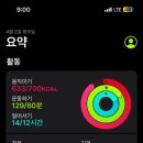 순례국밥 이미지