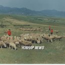 개마고원 이미지