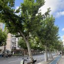 애니카랜드서진주점 | [상하이 여행] 3일차 광복절 기념 상해임시정부 | 예원 | 레드번 | 동방명주 야경