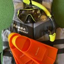 월정포인트 이미지