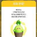 인삼농협앞(알파문구) | 오늘의 집 바질 키트 후기🌱+ 네잎클러버 줍줍의 날 🍀