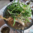 황금닭집 네이버블로그