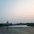 무역전시관입구(택시승강장) | 대전에 산다면, '타슈' 한번은 즐겨야지!