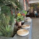 카페뮤즈 이미지