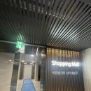 이진젠시티경로당 | [부산 개금 이진젠시티 속눈썹펌] 뷰티앤하이 후기