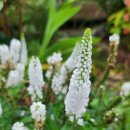 산정농원 이미지