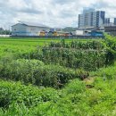 정읍한국병원 이미지