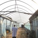 애은농장 이미지