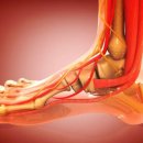 숲마취통증의학과재활의학과의원 이미지