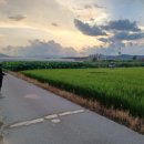 전남드론방제단