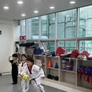 박사 K 태권도 이미지